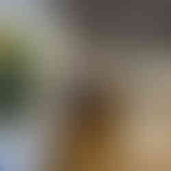 Eingangsbereich zur Lufthansa Business Lounge in London Heathrow