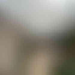 Außenbereich im Le Belgrand Hotel Paris - Tapestry Collection by Hilton