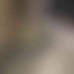 Die Sushi Station in der Al Safwa First Class Lounge