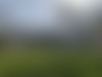 Review: Waldorf Astoria Dubai - Palm Jumeirah