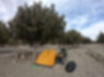 Wild camping at Lake Tislit in Morocco. Look at how fluffy this tree is!
