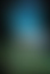 Laurie's Pick: "The Shadow House" by Anna Downes