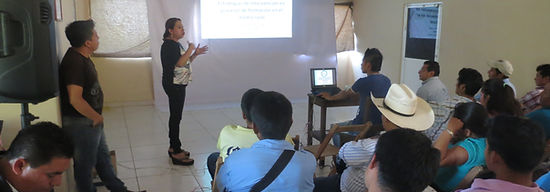 union nacional de trabajadores agricolas de chiapas