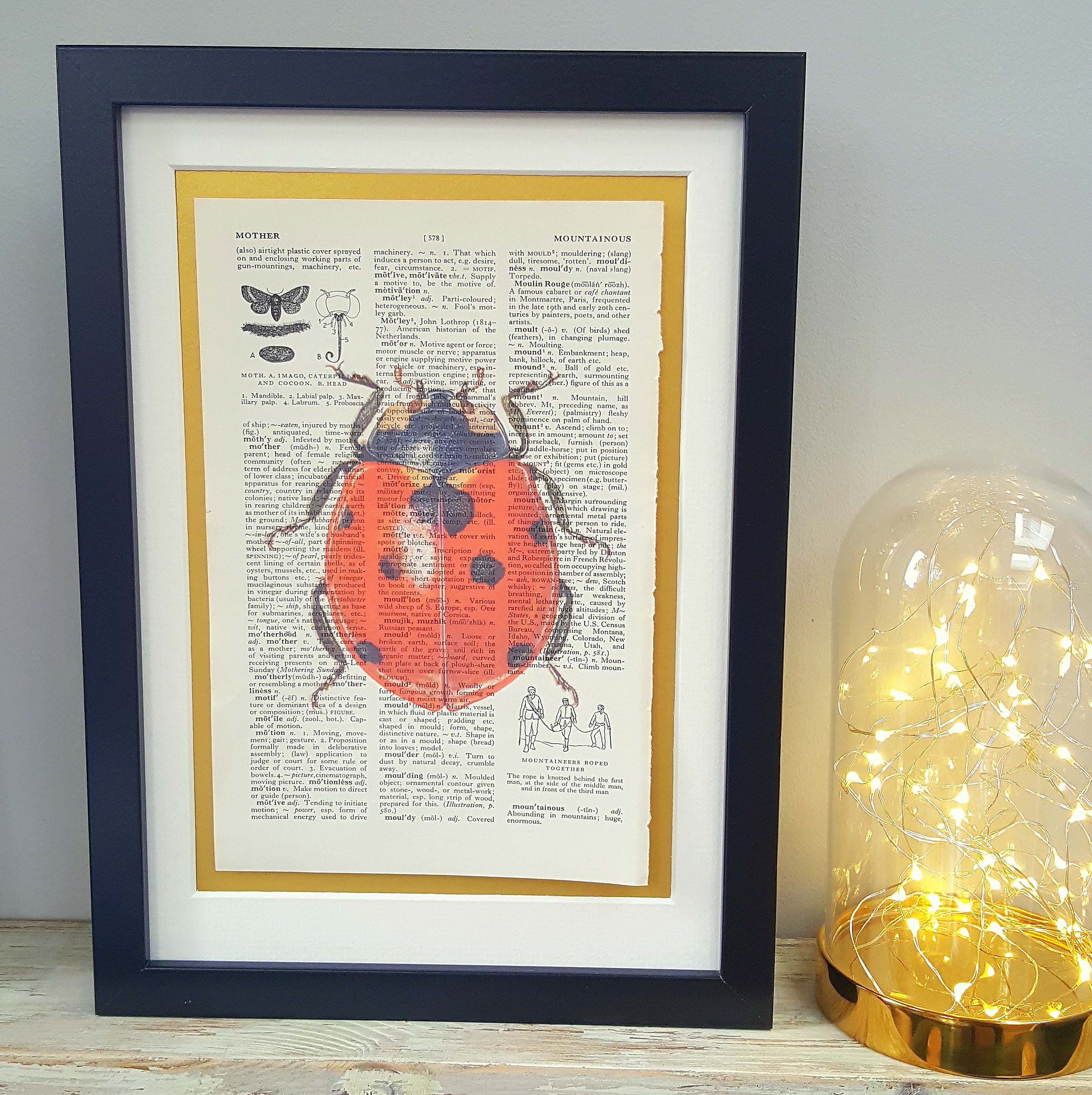 Ladybird Print