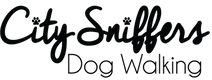 CS-Logo_edited.png