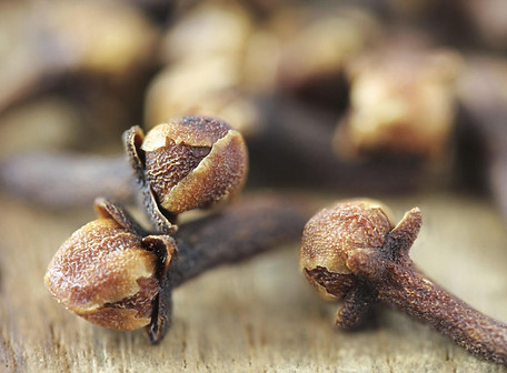 Clove Bud