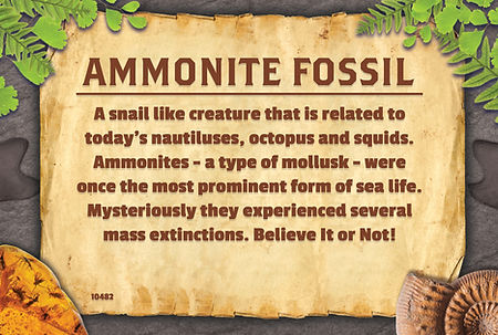 MB_BION25_Dinosaur sign_9x6_1.jpg