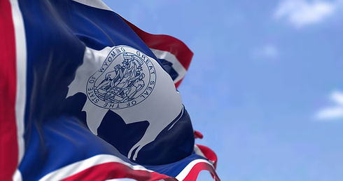 The US state flag of Wyoming waving in the wind. Wyoming is a state in the Mountain West s