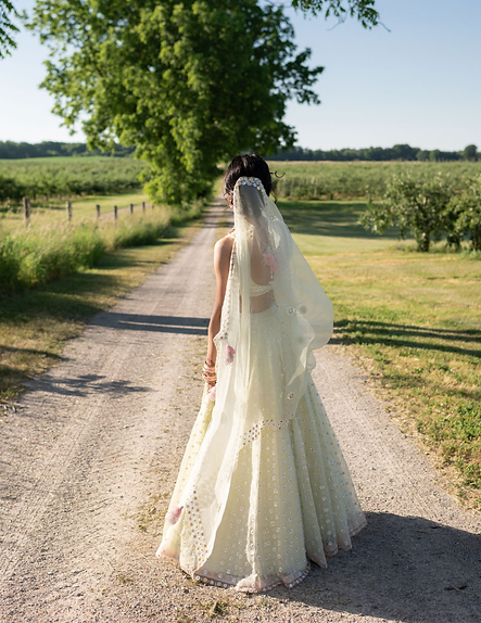 Rita Drapescape Website Images.png