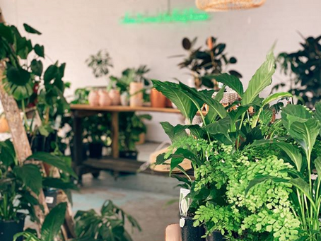Top Instagrammable Locations on the Gold Coast