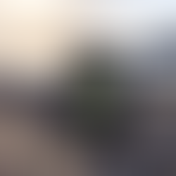 Wix Website Design BC