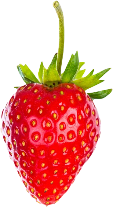 strawberry cafe in new jersey nj hoboken