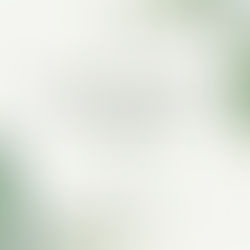 안전앱과 함께하는 안전 꿀팁