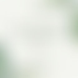 신종 디지털 성범죄 딥페이크