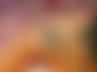 NOVOROČNÍ PŘEDSEVZETÍ, ŠMEJDI A NUDNÉ DODRŽOVÁNÍ PRAVIDEL. Píše Kristýna Wohlinová.