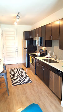 luxury kitchen.jpg