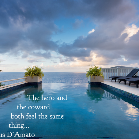 “The hero and the coward both feel the same thing..."