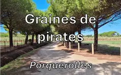 Balade nature de découverte de Porquerolles sur les espèces exotiques envahissantes