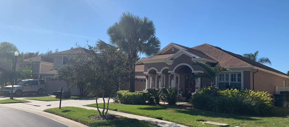 ladnscaping services tampa 3.jpg