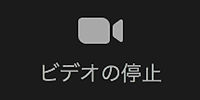 ui_video_on.jpeg