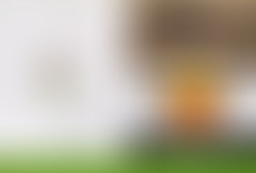 小樽野球協会球史(1945-1955)