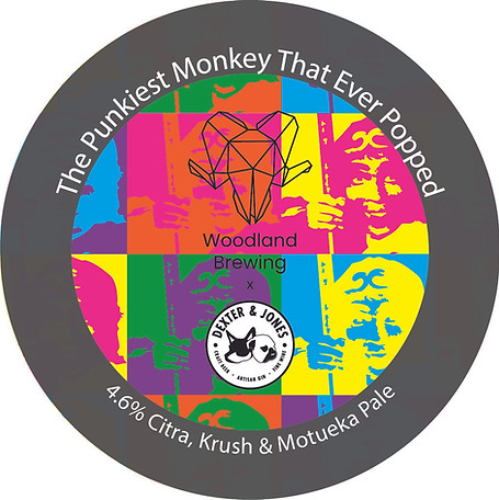 The Punkiest Monkey That Ever Popped.jpg