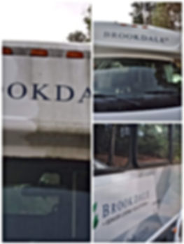 Van Cleaning