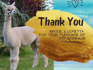 Thank You for Your Purchase!