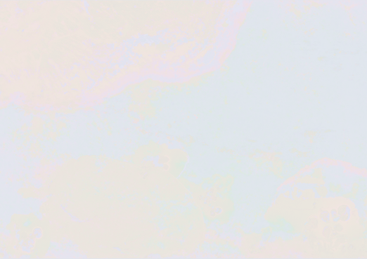 Opal Texture Website BKG.png