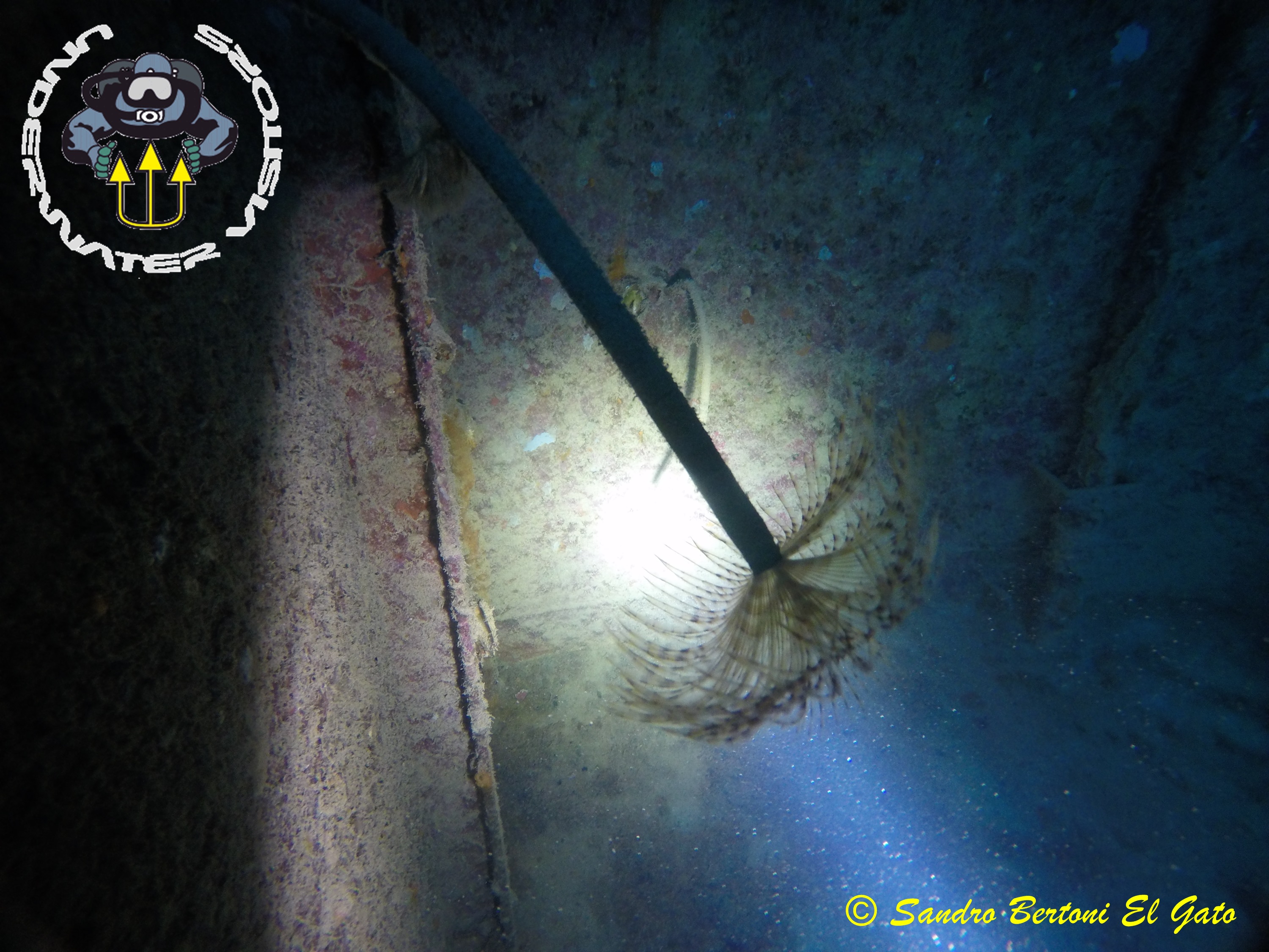 Apulia Sidemounter Team