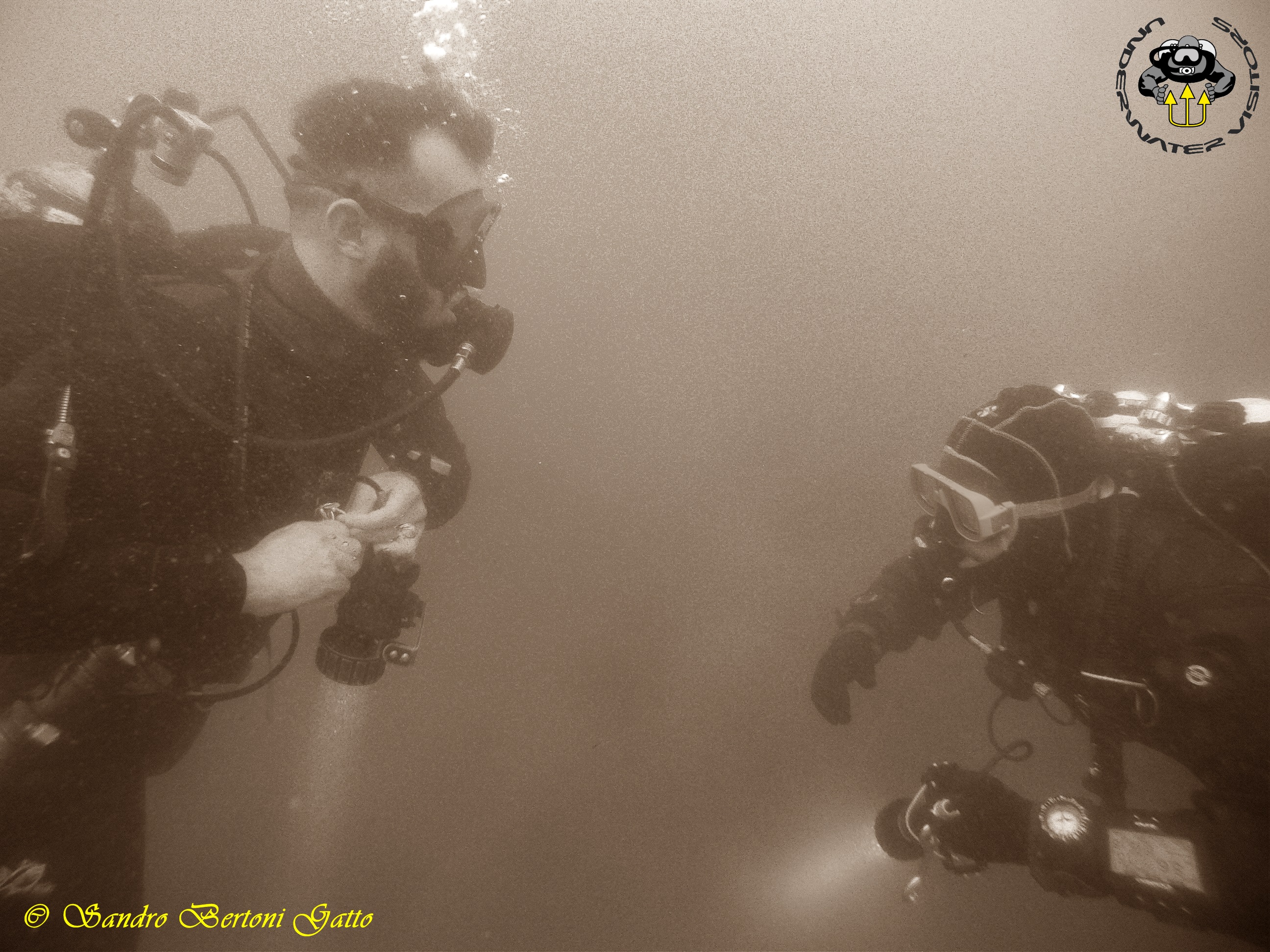 Rec1 Open water diver