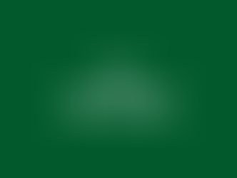 WEB AO VIVO - DIRBI (DECLARAÇÃO DE INCENTIVOS, RENÚNCIAS, BENEFÍCIOS E IMUNIDADES DE NATUREZA TRIBUTÁRIA)