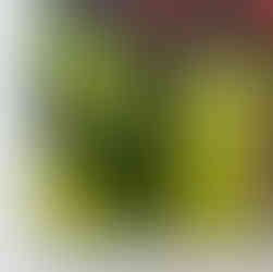 detail of an unframed painting on panel hanging on the wall