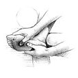 do-in, auto massage, étirement de méridien, pratique de santé, qi gong