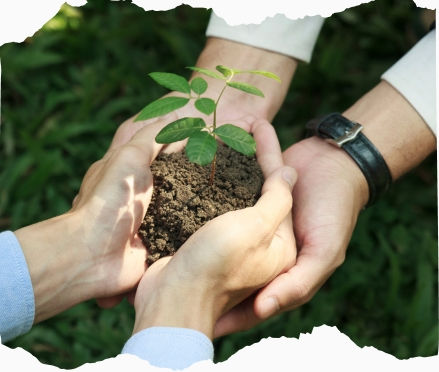 O Papel da Responsabilidade Social Corporativa