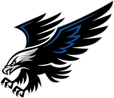 FVhawks48in.png
