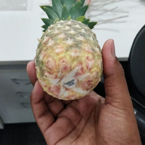 Gravitaz Technolab (143).jpg