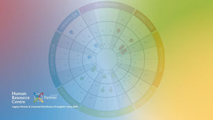 Reading the Team Wheel: What Insights Discovery® Reveals About Your Team's Collective Strengths and Blind Spots