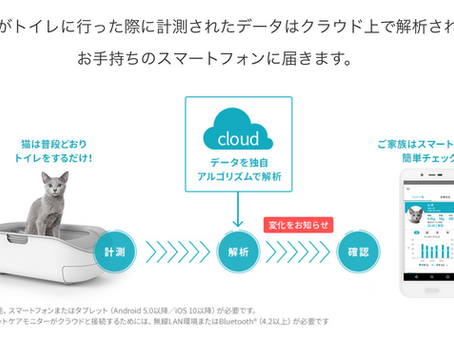 高機能‼猫用システムトイレのご紹介