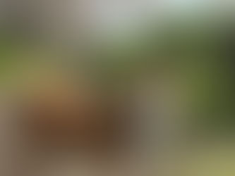 院長不在のお知らせ(4/20)