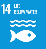 SDG 14 Life below water symbol