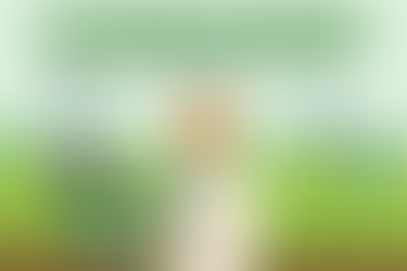 Smart Farming 2025: How Technology Is Transforming the Future of Indian Agriculture