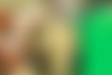 How Chaff Cutters and Grinders Improve Livestock Farming Efficiency