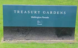 Invasive ivy in Treasury Gardens