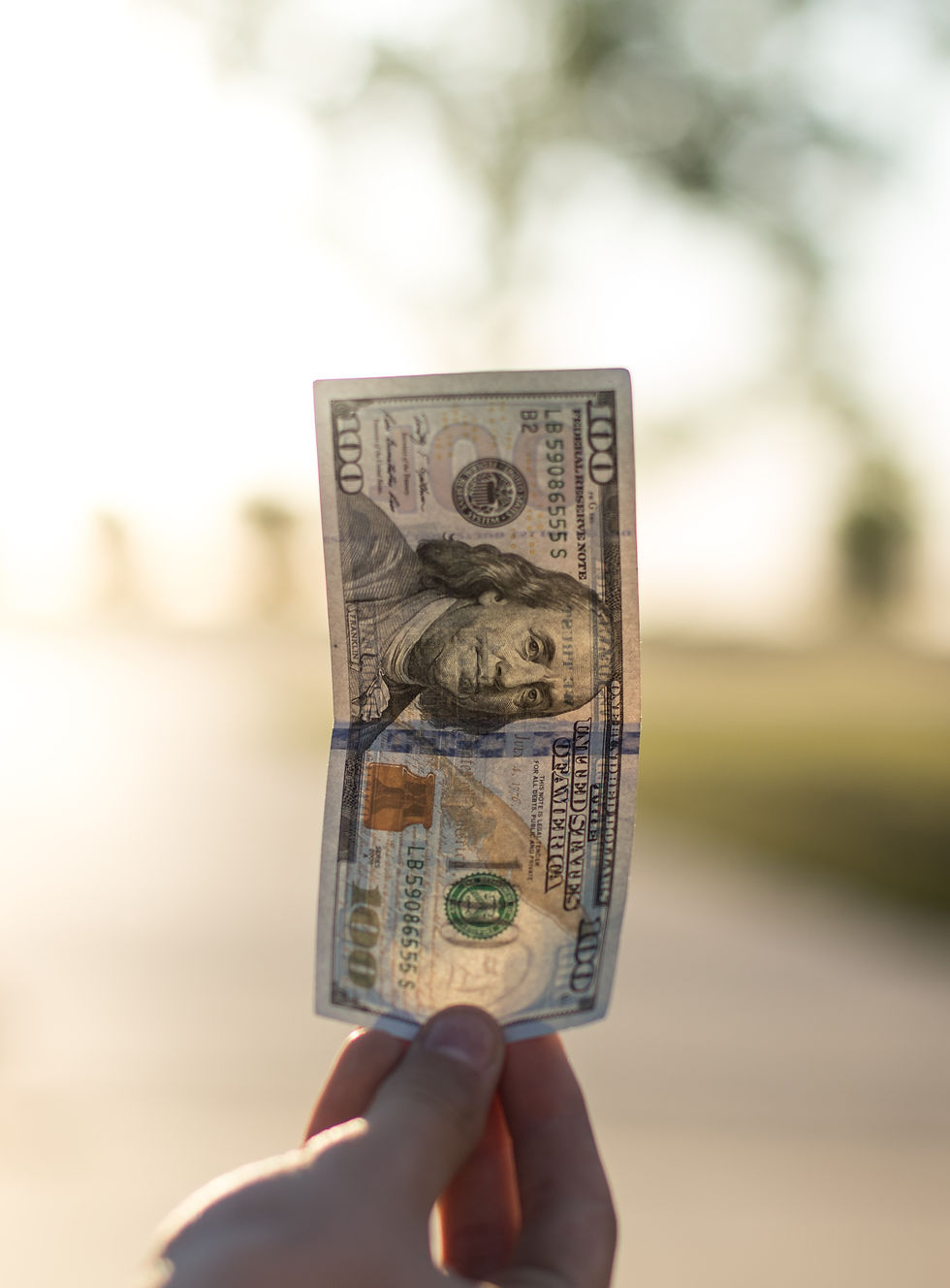 land clearing is a smart investment for your home