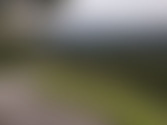 Choosing the Perfect Plot for Your Dream Mountain Home