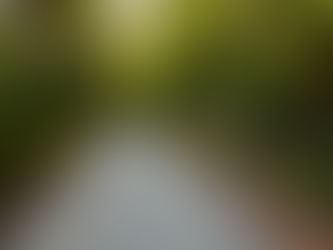 Leveling Up w/ Grading & Gravel: The Ultimate Guide to Grading Your Driveway and Replenishing Gravel in Asheville