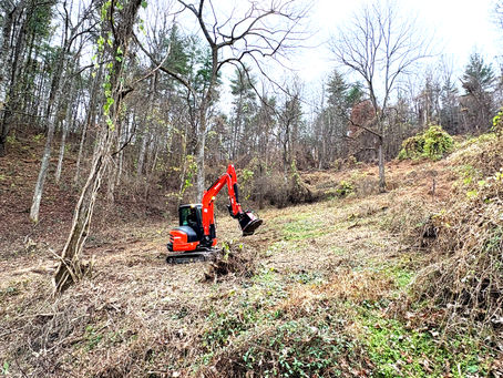Forestry mulching is the way to go when searching for land clearing near me for overgrown kudzu, wisteria, bramble, underbrush and other invasive vines.