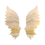 Thumbnail: Orange calcite Angel wings