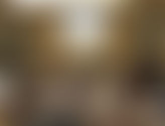 RÉUNION PUBLIQUE À LUZ DU 16 MARS